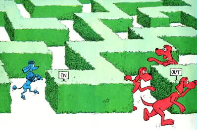 dogmaze